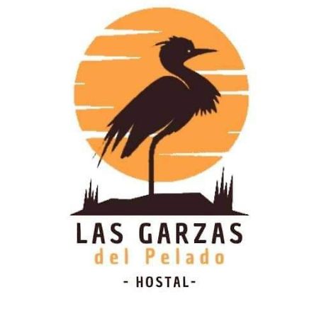 Hostal Las Garzas Del Pelado Playas Bagian luar foto