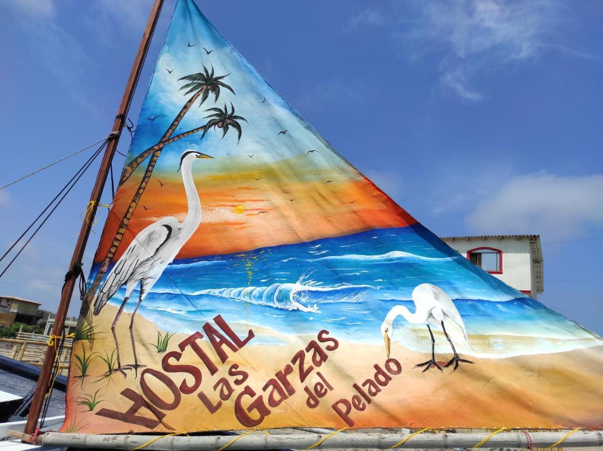 Hostal Las Garzas Del Pelado Playas Bagian luar foto