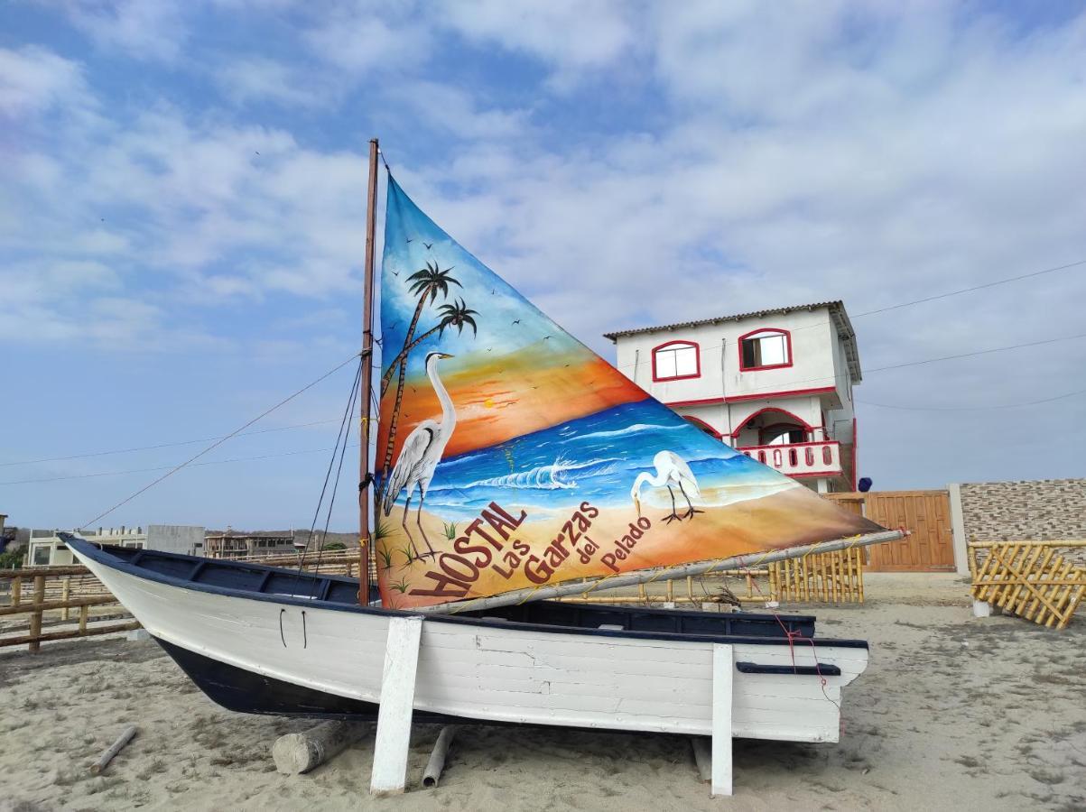 Hostal Las Garzas Del Pelado Playas Bagian luar foto