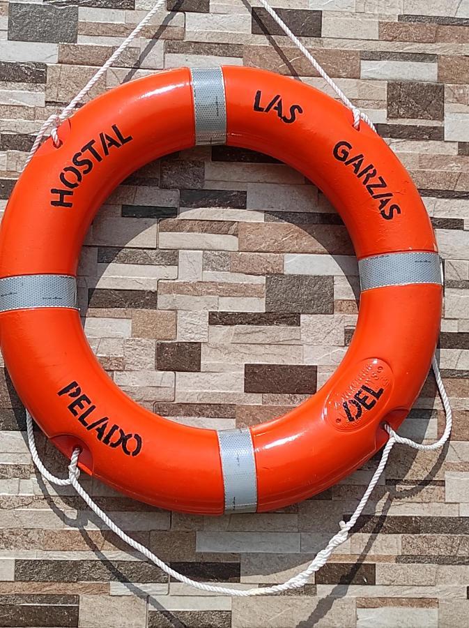 Hostal Las Garzas Del Pelado Playas Bagian luar foto