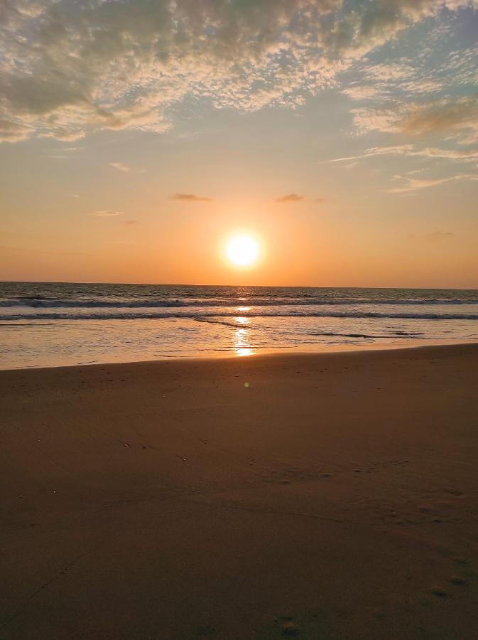 Hostal Las Garzas Del Pelado Playas Bagian luar foto