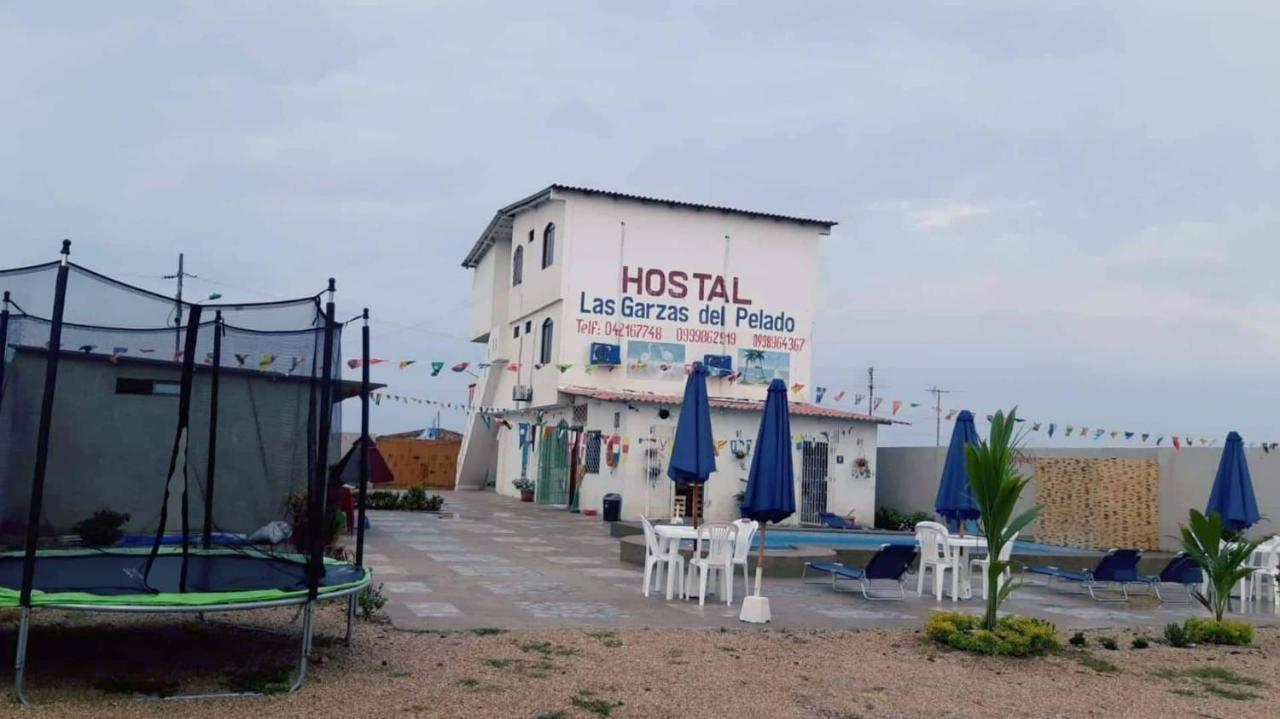 Hostal Las Garzas Del Pelado Playas Bagian luar foto