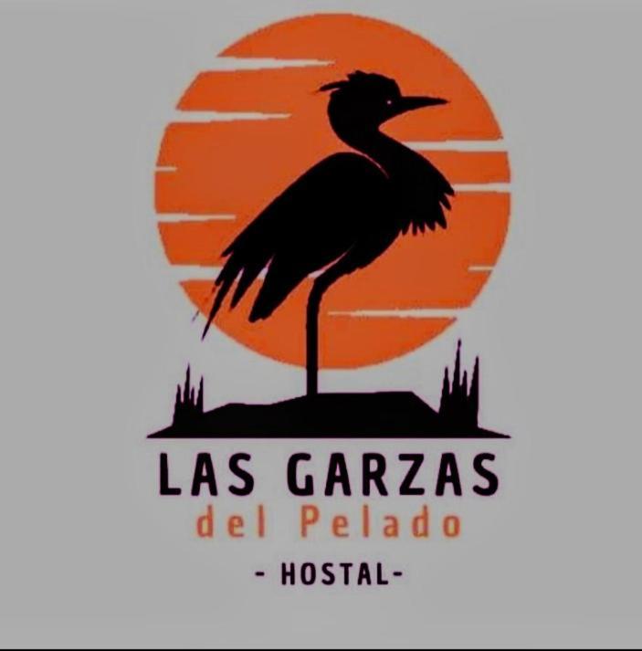 Hostal Las Garzas Del Pelado Playas Bagian luar foto